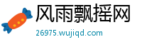 风雨飘摇网